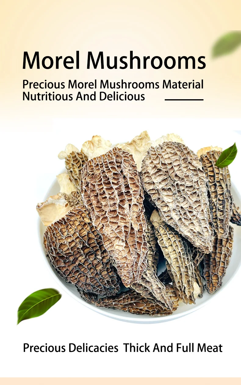 Wholesale Morel Mushrooms Buy Wild Dried Morel Mushrooms Price Morel