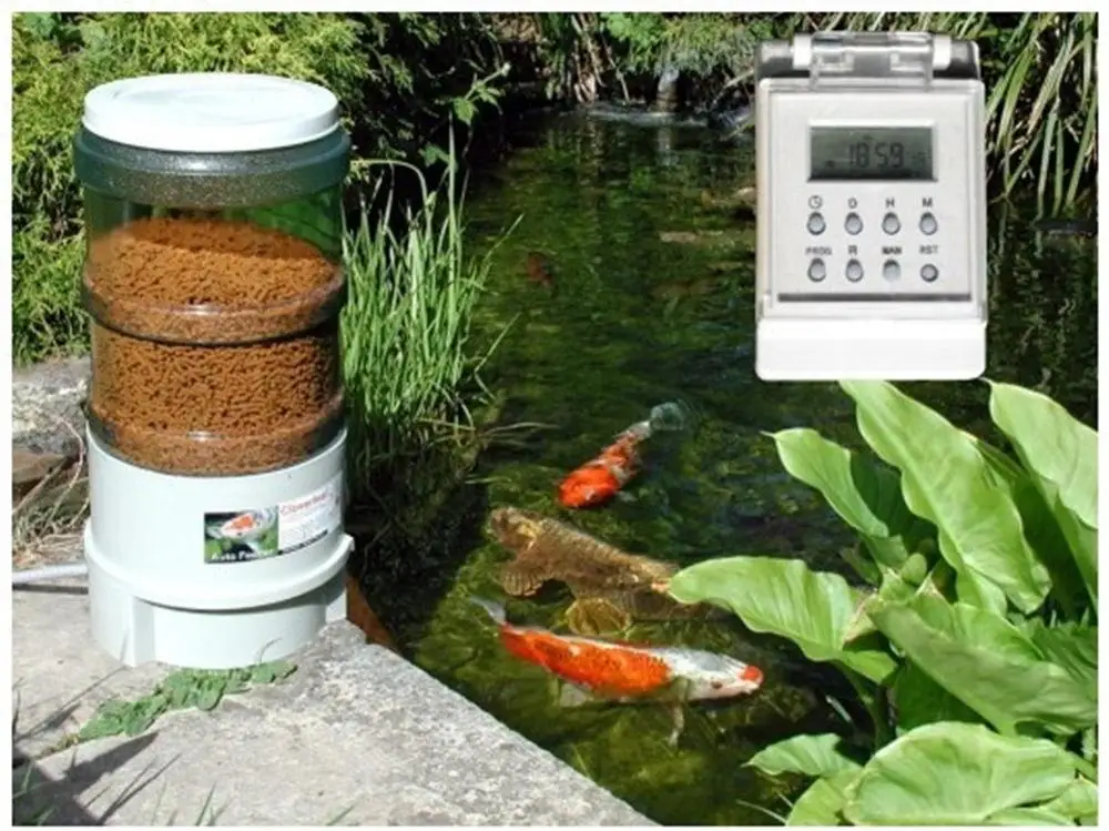 Diy automatic hotsell koi feeder