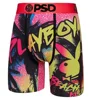 P82 lapin coloré