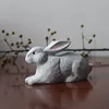 Pine Wood White Rabbit