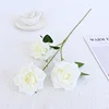 Bianco crema