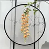 Arancione