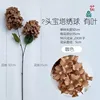 Two-headed pagoda hydrangea with leaves, brown in color