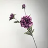 Morado oscuro