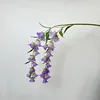 luz violeta