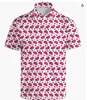 XC-146 red white