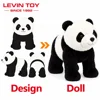 Panda / Black & White