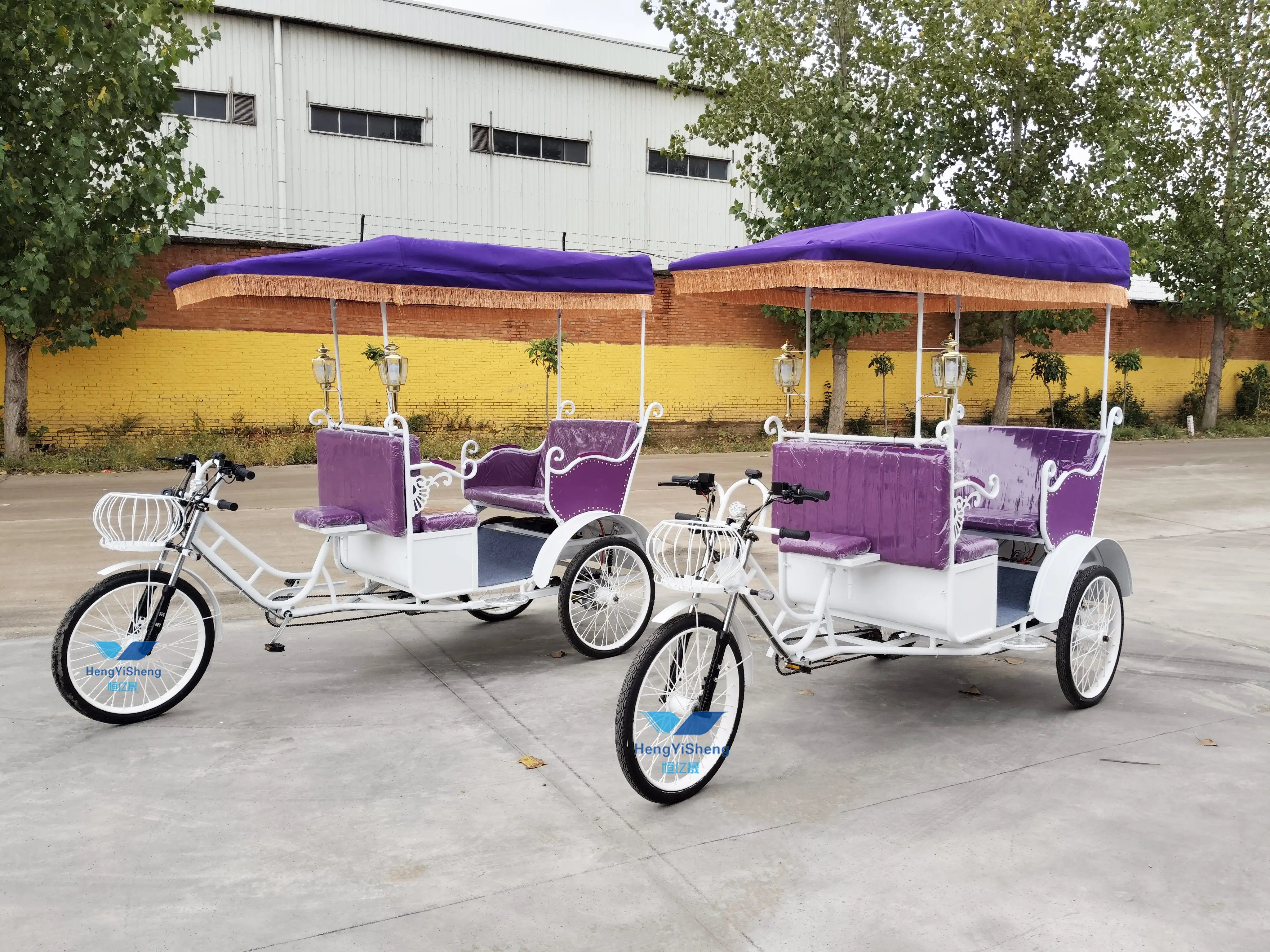 Peddle Rickshaw Alibaba.com: Vintage Pedicab Rickshaw Tuk Tuk 3 Wheel Bike with pedal ...