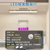 [Monochrome White Light] 30cm long, no switch included.