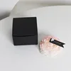 Peony flowers in a gradient pink color (scent: yla