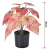 A-40CM สีชมพู