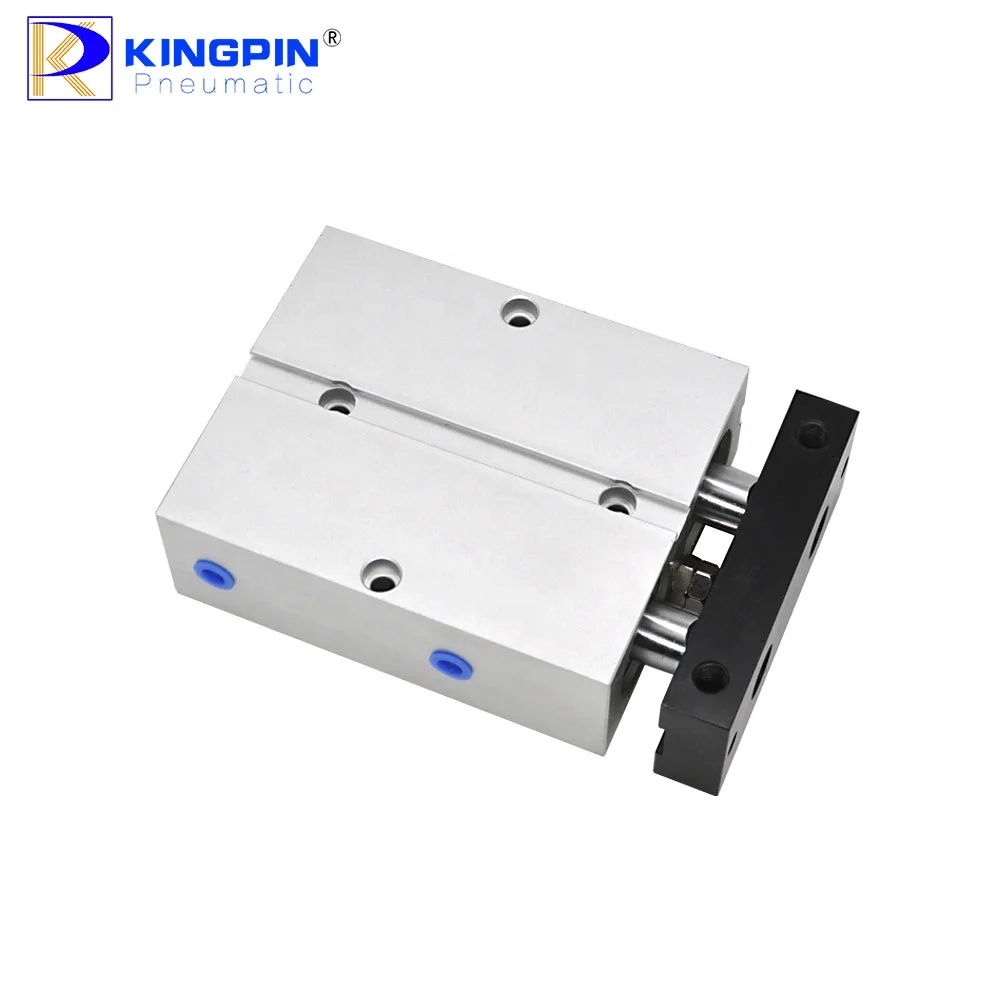 Cylindre Pneumatique Double Effet TN16-80 - Alésage 16mm Course 80mm Double Tige Avec Aimant | Pour Automatisation Roue Alesage 16