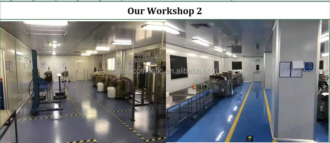 workshop 2.png