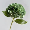 6# Verde