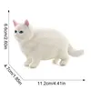 4274d chat blanc 150g