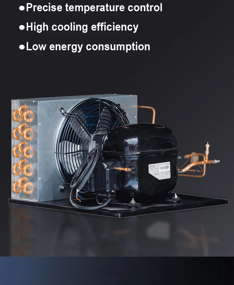 Shop Reliable 12/24V DC R134a Compressors for Hotels & Restaurants