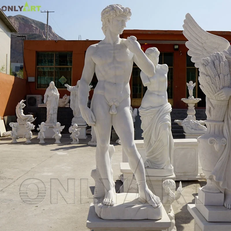 Famous Michelangelo Marble David Statue Life Size Outdoor Garden