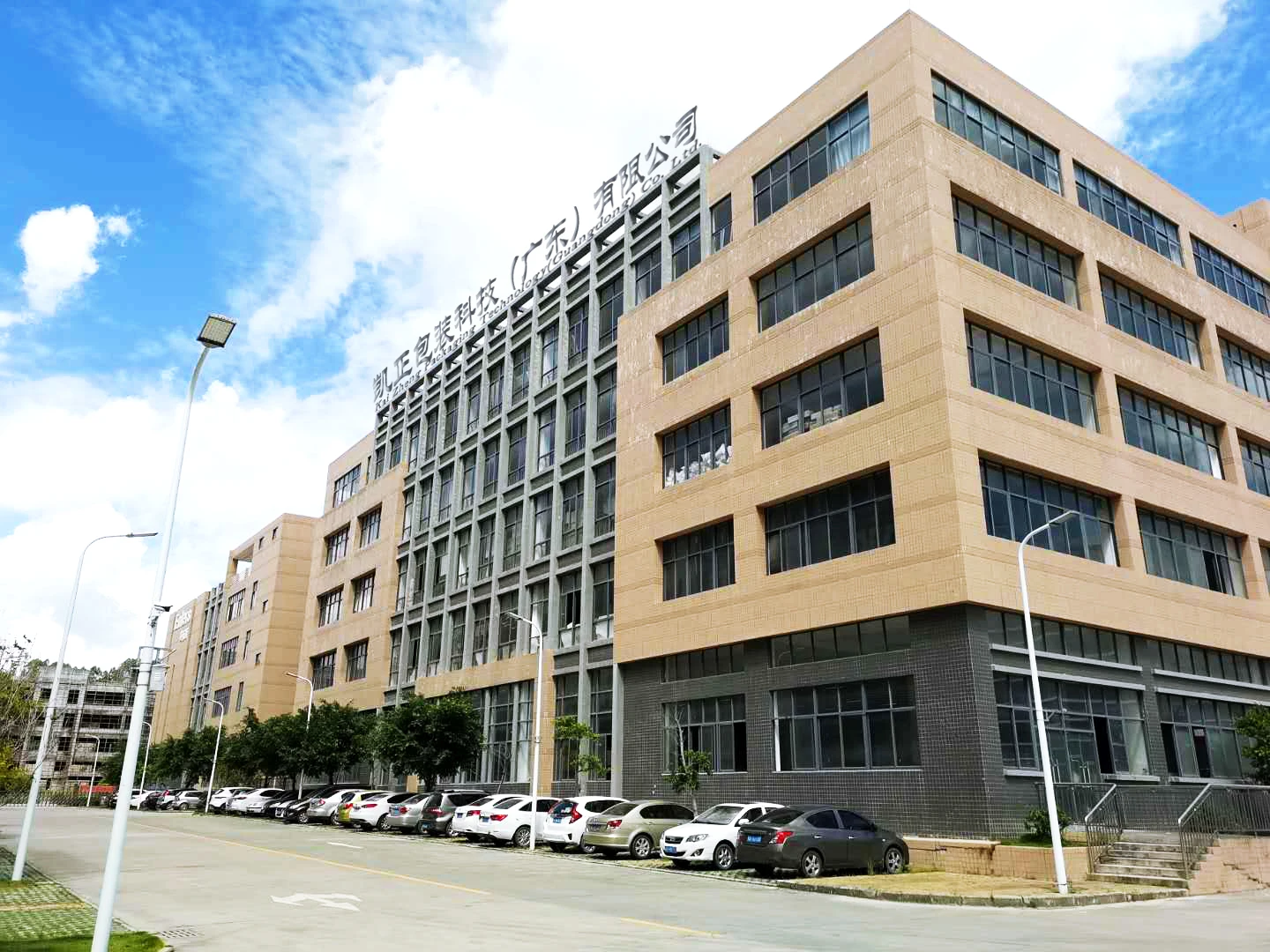 8/12/16/22 Oz Wholesale Compostable Paper Coffee Cups Disposable Eco