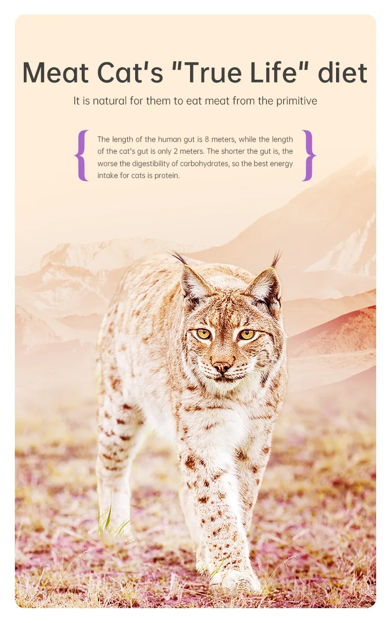 Myfoodie Highquality Cat Food Wholesale 100 Pure Meat High Protein
