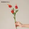 Red Little Purple Orchid