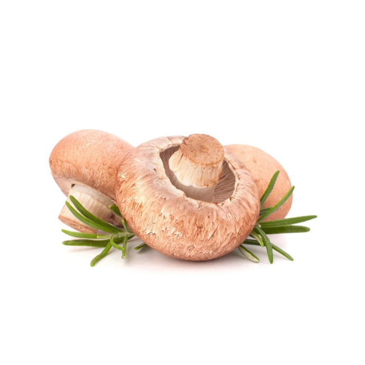 Прямая поставка, здоровая вкусная бескошковая густая соломинка для выращивания в комнате Shiitake