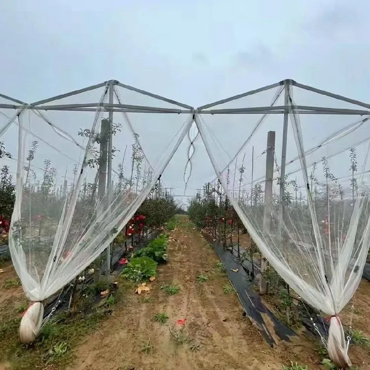 Fruit Tree Anti Hail Net apple Orchard Hail Net Frost protection Anti-hail Net