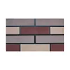 Couleur multiple