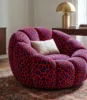 CELOSIA VELVET