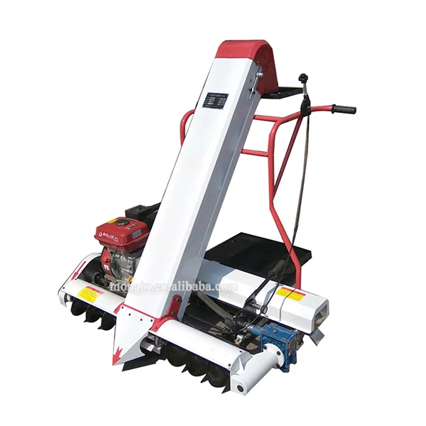 Rice Corn Grain Collector Collecting and Bagging Machine for Bleachery and Rice Plant