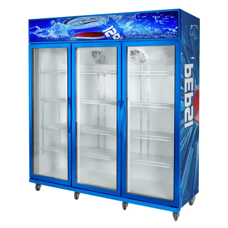 Double Door Fridge Price Pepsi Commercial Refrigerator Commercial