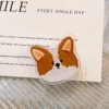 Corgi dog