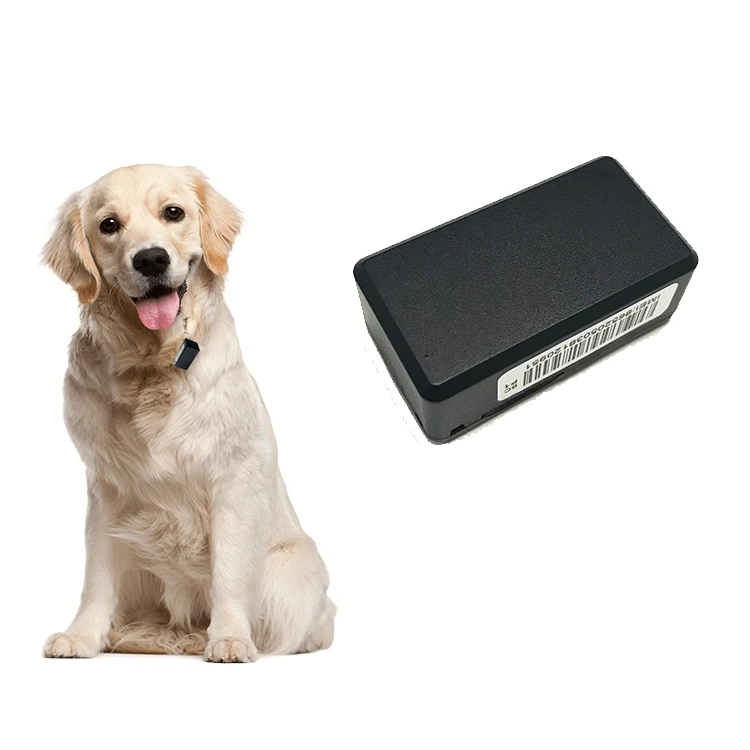 animal gps tracker chip