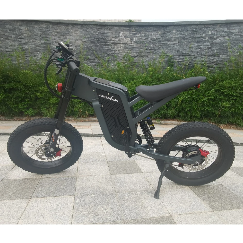 48v 1000W 2000W 55 km/h 35Ah 100km ekx x21 max pedals assisted electric bike