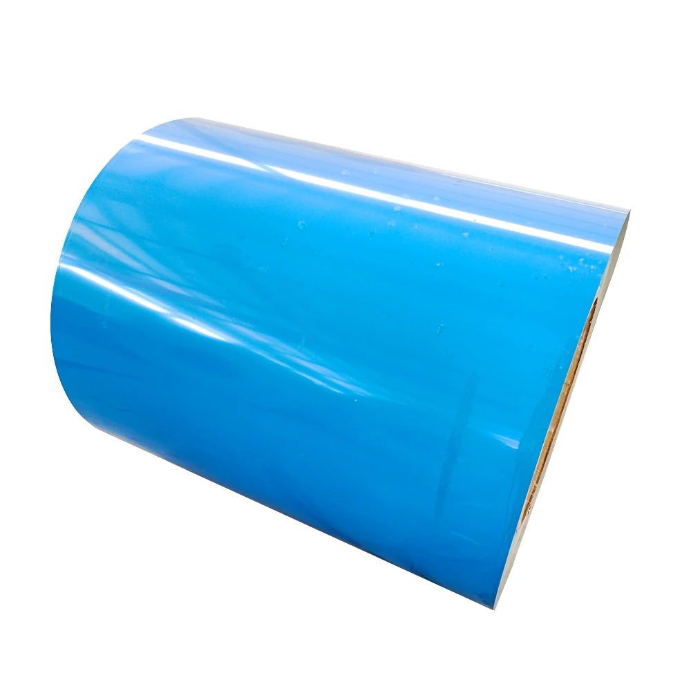 Factory Direct Sales Ral 9009 Ral 5050 Ppgi Prepainted Galvanized Steel Color Coated Coil for Building
