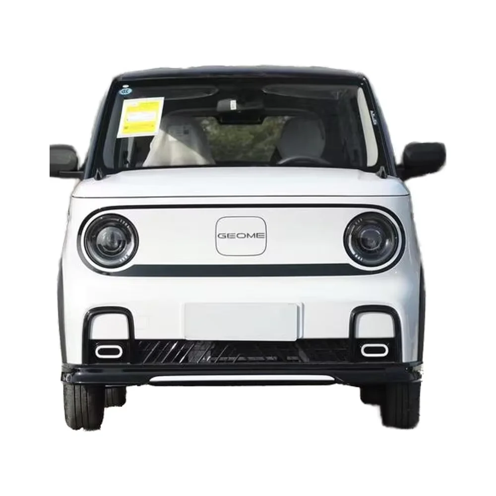 For Geely 2025 Galaxy-Panda New Energy Vehicle with 210Km Panda Kadin Features