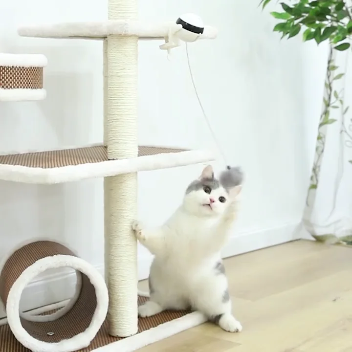 Interactive Ascending And Descending Cat Toy Hang Anywhere Intermittent ...