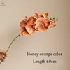 Couleur orange miel