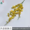 Dancing Orchid DG Deep Yellow