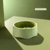 Verde matcha