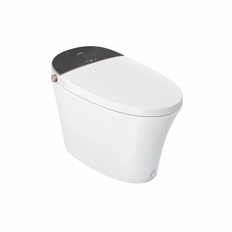 16a-db80 Japanese Smart Intelligent One Piece Toilet Bathroom Automatic ...