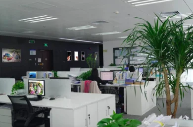 Ningbo Creating Bag Co., Ltd. 2