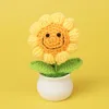 Smiling sunflower potted plant