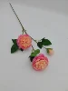 Degradado Rosa