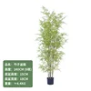 Yellow bamboo bonsai 240CM