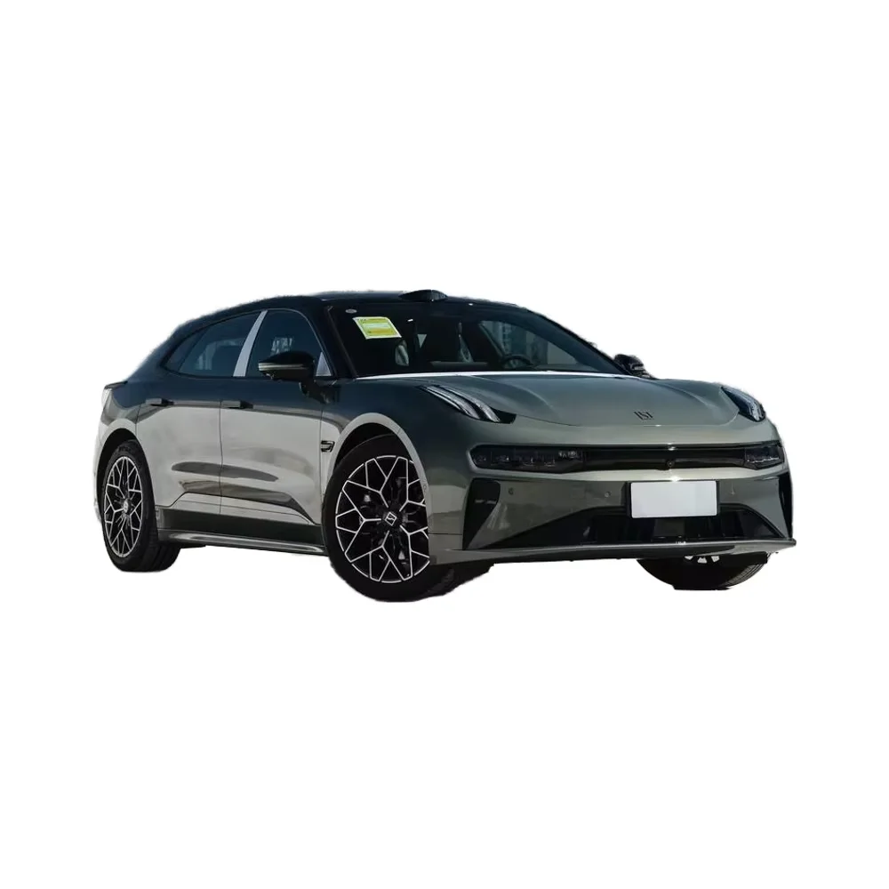 Zeek 001me Version 100wh Rear Drive Family Car with New Energy Features