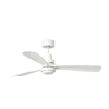 White+White
