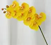 Macchia gialla