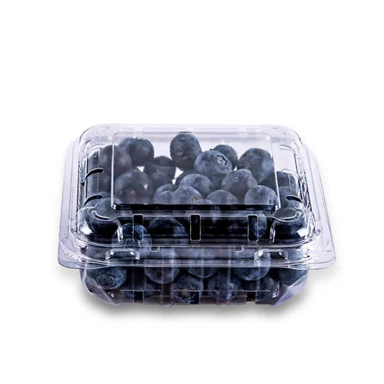 500g Clear Plastic Boxes Wholesale Strawberry Packing Package for Fruits -  China Buy Fruit Plastic Box, Fruit Clamshell Packaging