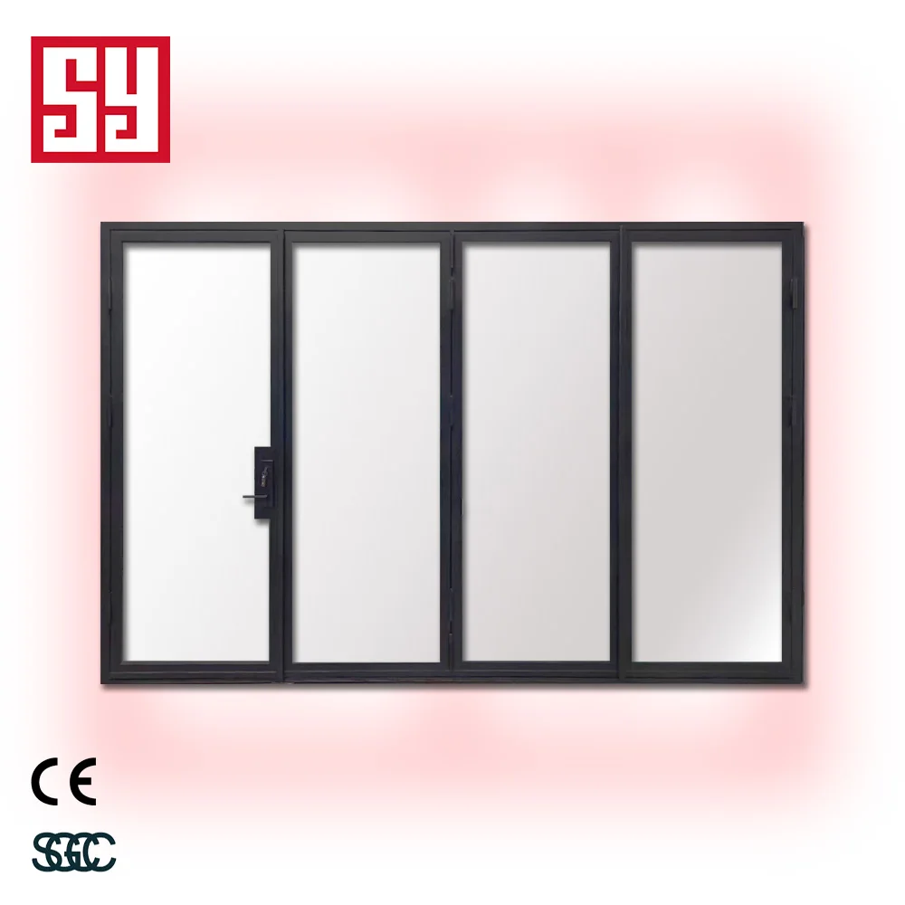 Modern Customized French Style Wrought Iron Glass Folding Door with Tempered Glass Windproof for Entry