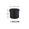 Black-7 GAL